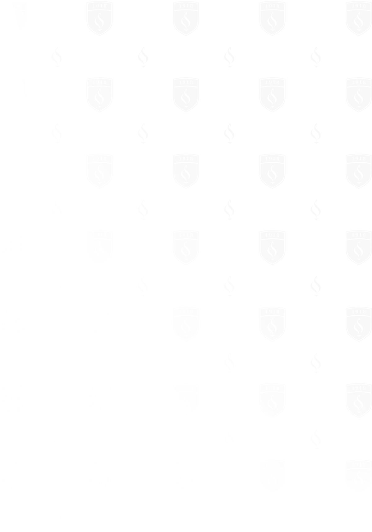 Nursing Lee University